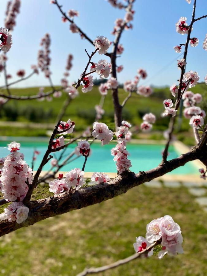 B&B Monte Di Bu Bagno Roselle 外观 照片