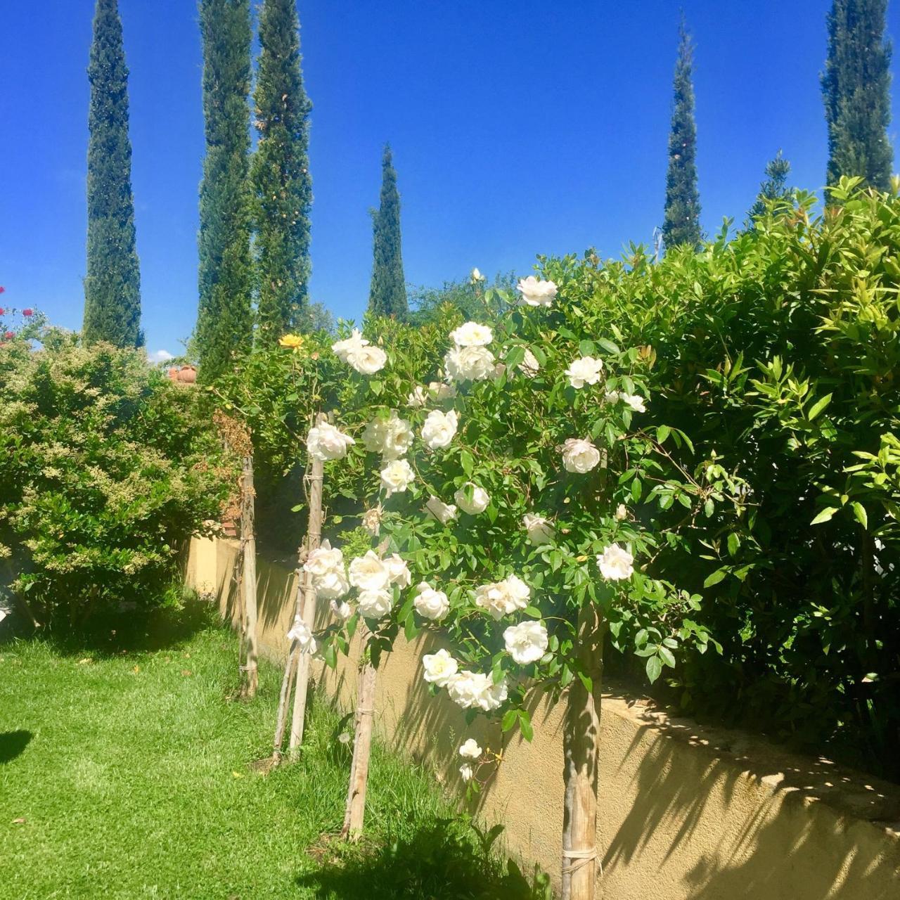 B&B Monte Di Bu Bagno Roselle 外观 照片