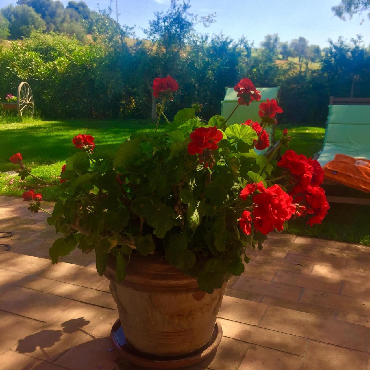 B&B Monte Di Bu Bagno Roselle 外观 照片