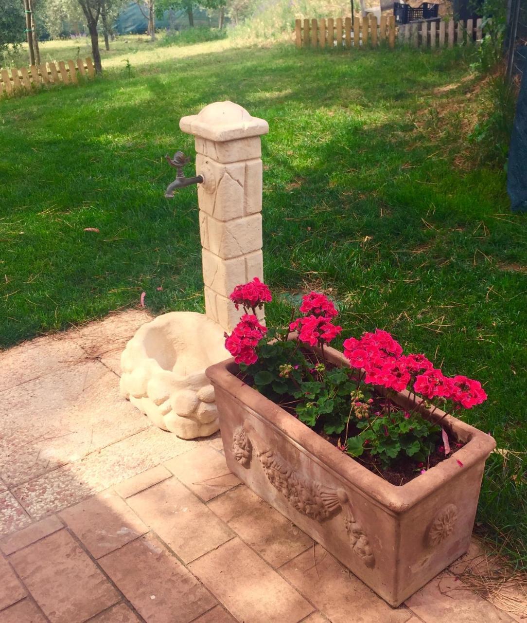B&B Monte Di Bu Bagno Roselle 外观 照片