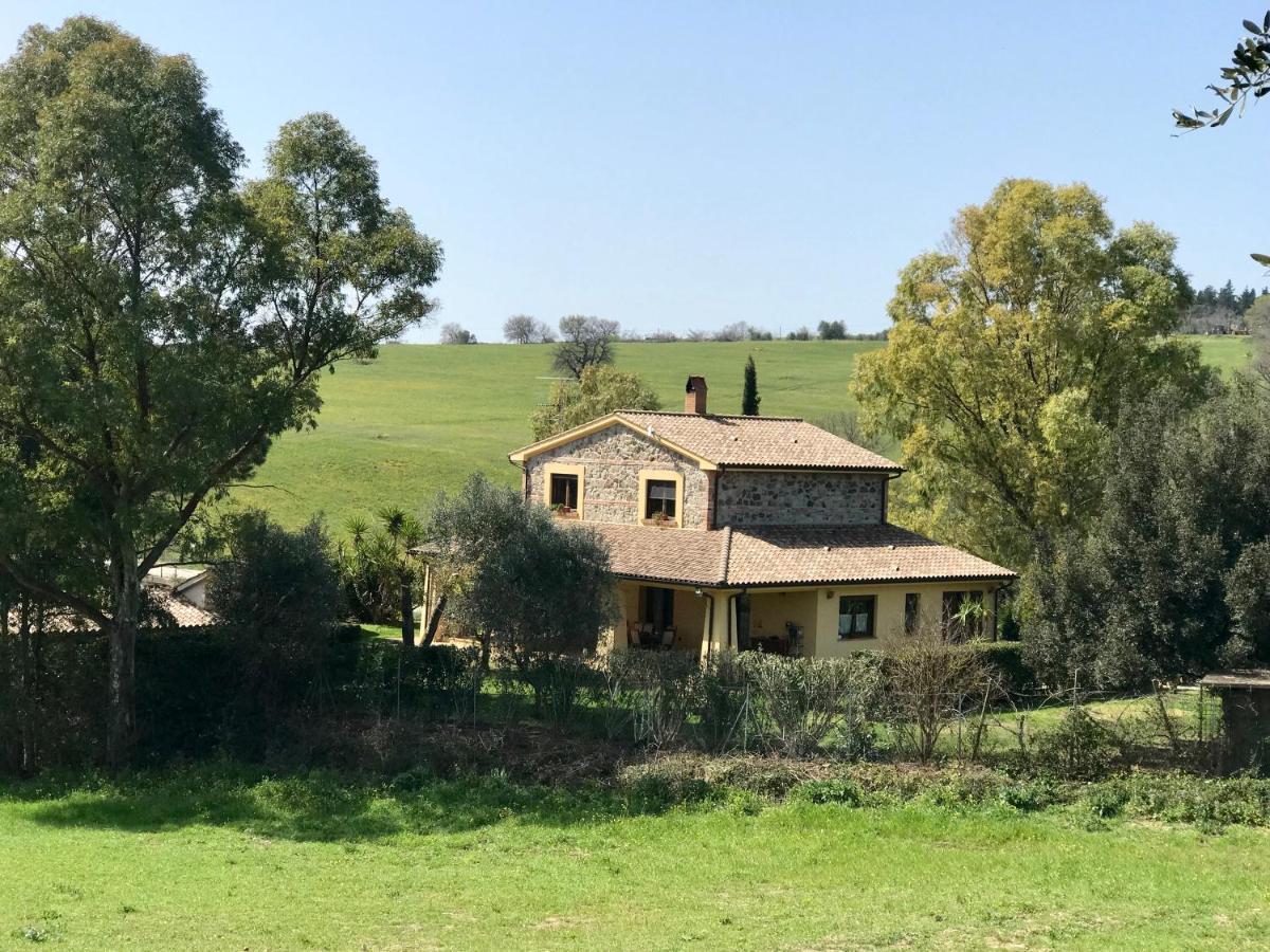 B&B Monte Di Bu Bagno Roselle 外观 照片